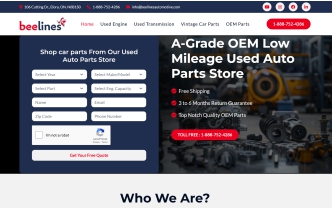 Web Designing and Development Services